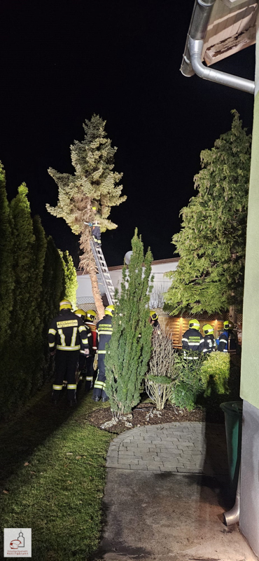 Nr.040 – Technischer Einsatz: Gefahrenabwehr Makartgasse