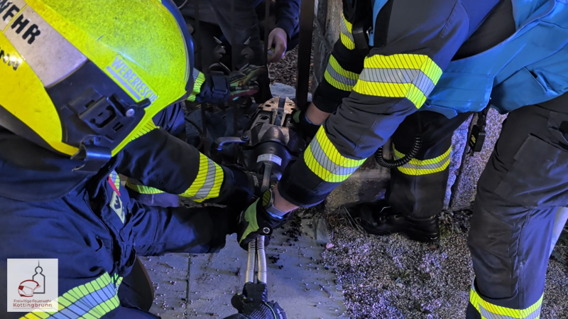 Nr.207 – Technischer Einsatz: Tierrettung Anzengrubergasse